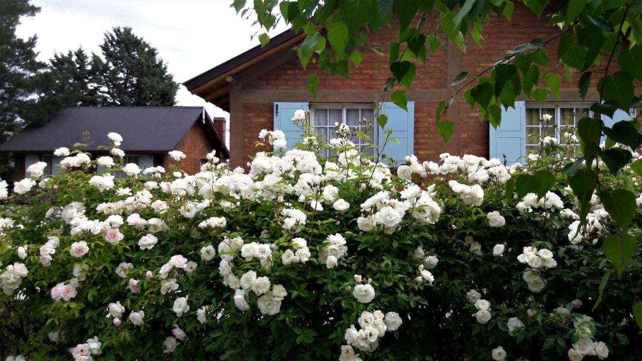 Cabanas Pyracantha إيسكيل المظهر الخارجي الصورة