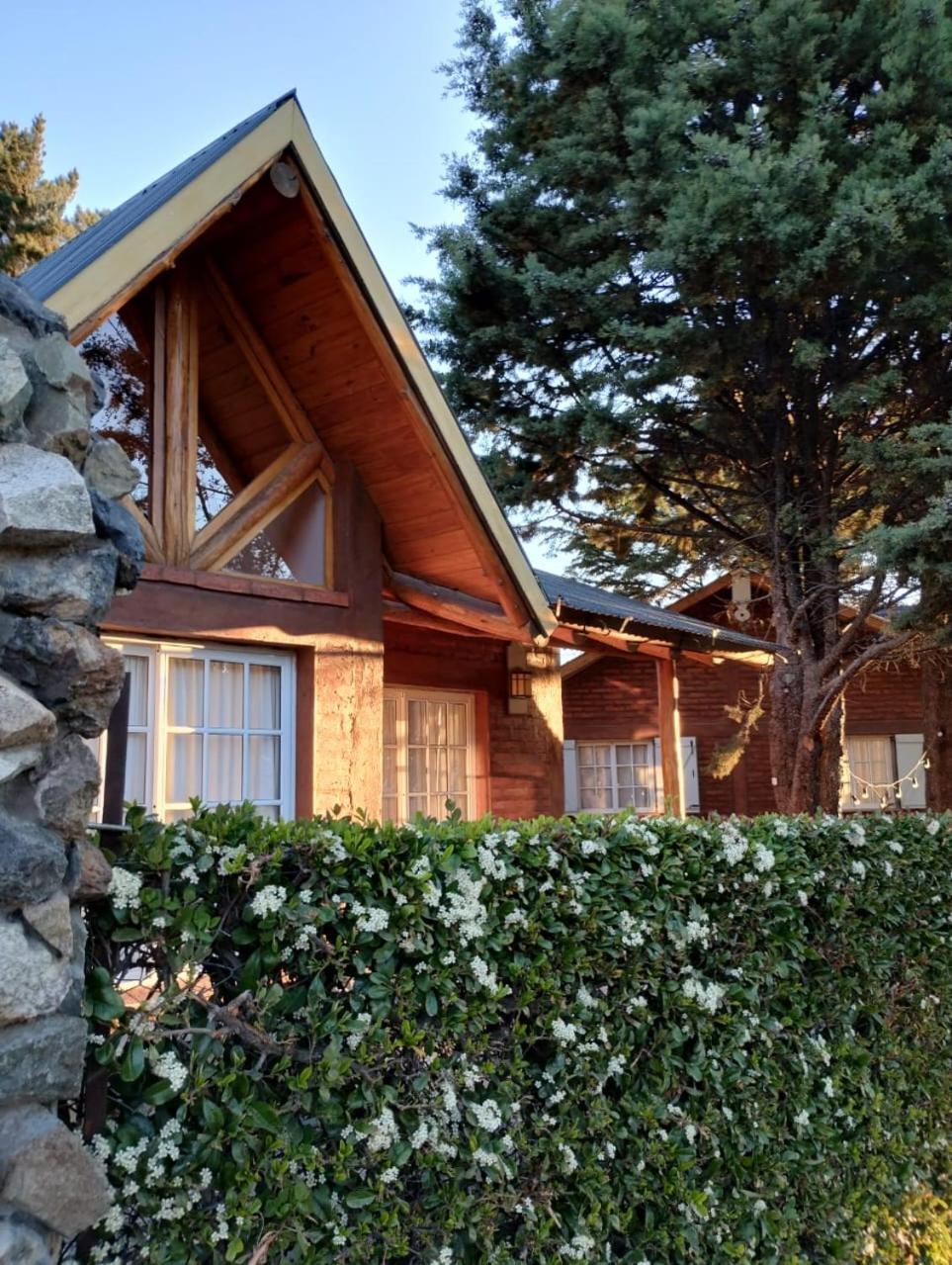 Cabanas Pyracantha إيسكيل المظهر الخارجي الصورة