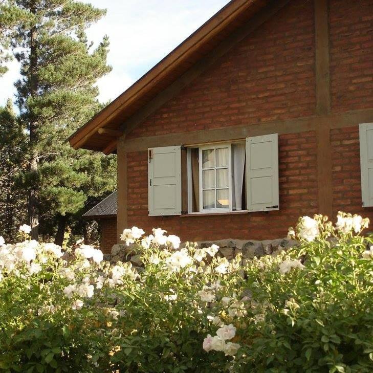 Cabanas Pyracantha إيسكيل المظهر الخارجي الصورة